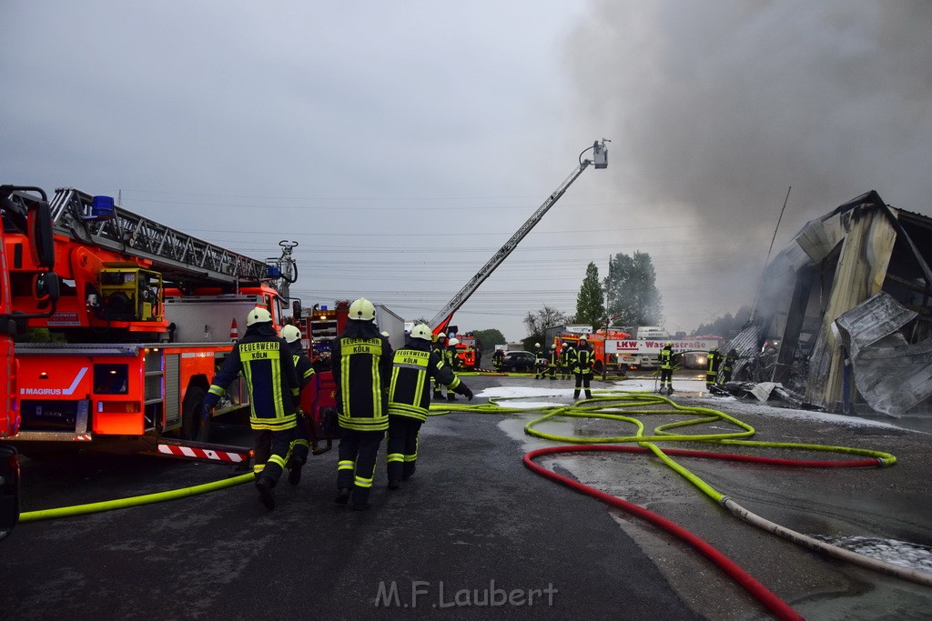 Feuer 3 Rheinkassel Feldkasseler Weg P0732.JPG - Miklos Laubert